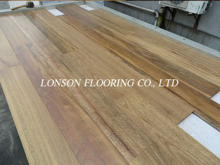 Quality Matt Australian Spotted Gum Solid Timber Flooring , Tongue And Groove