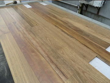 Quality Matt Australian Spotted Gum Solid Timber Flooring , Tongue And Groove