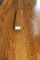 Red oak solid hardwood flooring, smooth surface with color butter rum