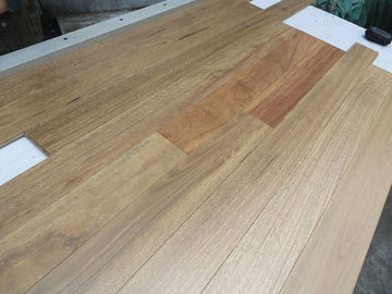 Quality Matt Australian Spotted Gum Solid Timber Flooring , Tongue And Groove