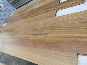 Quality Matt Australian Spotted Gum Solid Timber Flooring , Tongue And Groove