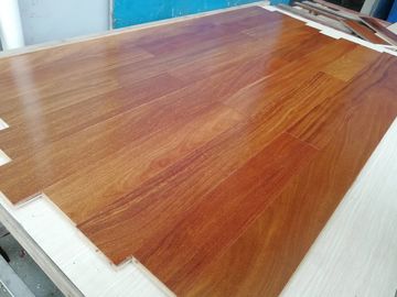 Exotic Cumaru (Brazilian Teak) Engineered Hardwood Flooring with natural glossy finishing