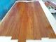 Exotic Cumaru (Brazilian Teak) Engineered Hardwood Flooring with natural glossy finishing