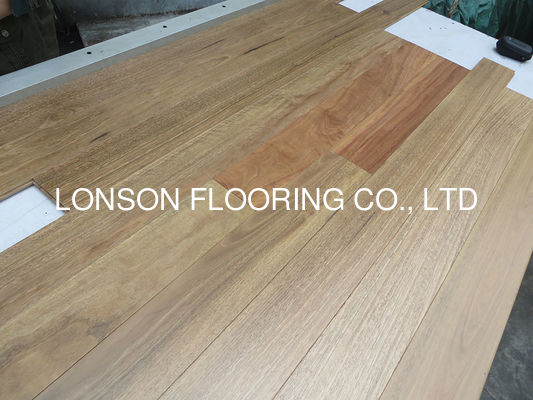 Quality 18mm Thickness Australian Spotted Gum Solid Timber Flooring with 25 Years Warranty and E0 Formaldehyde Emission factory