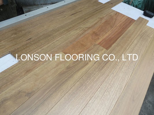 Quality Quality Matt Australian Spotted Gum Solid Timber Flooring , Tongue And Groove factory